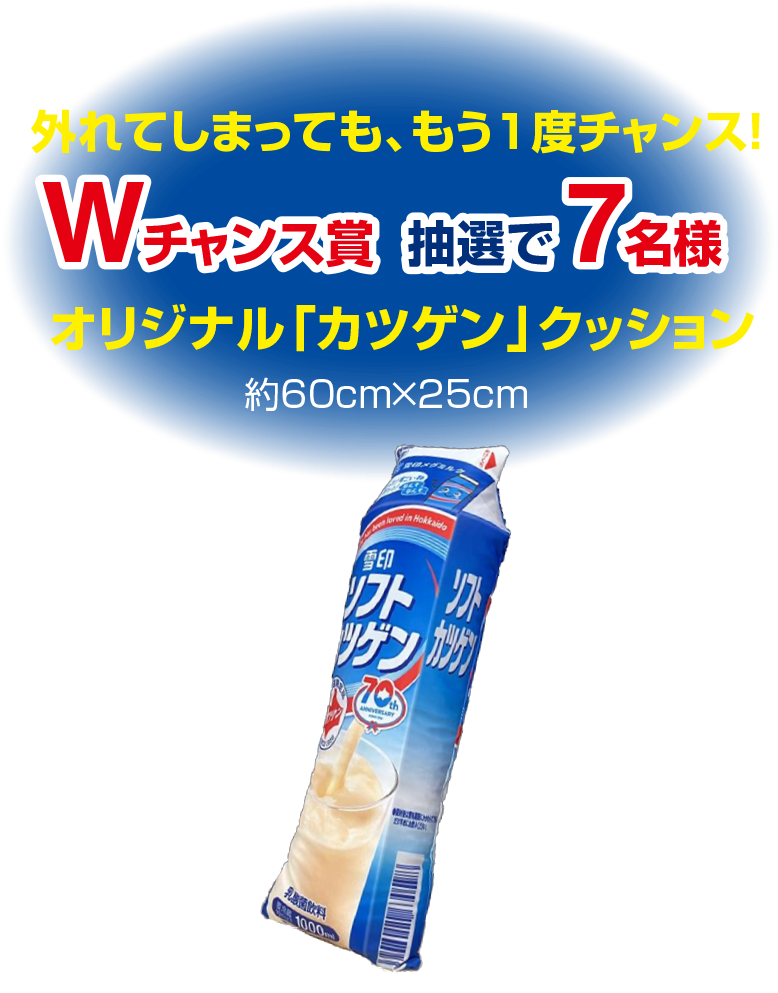 Wチャンス賞 オリジナル「カツゲン」クッション  